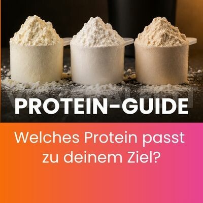 Protein Guide - protein-guide