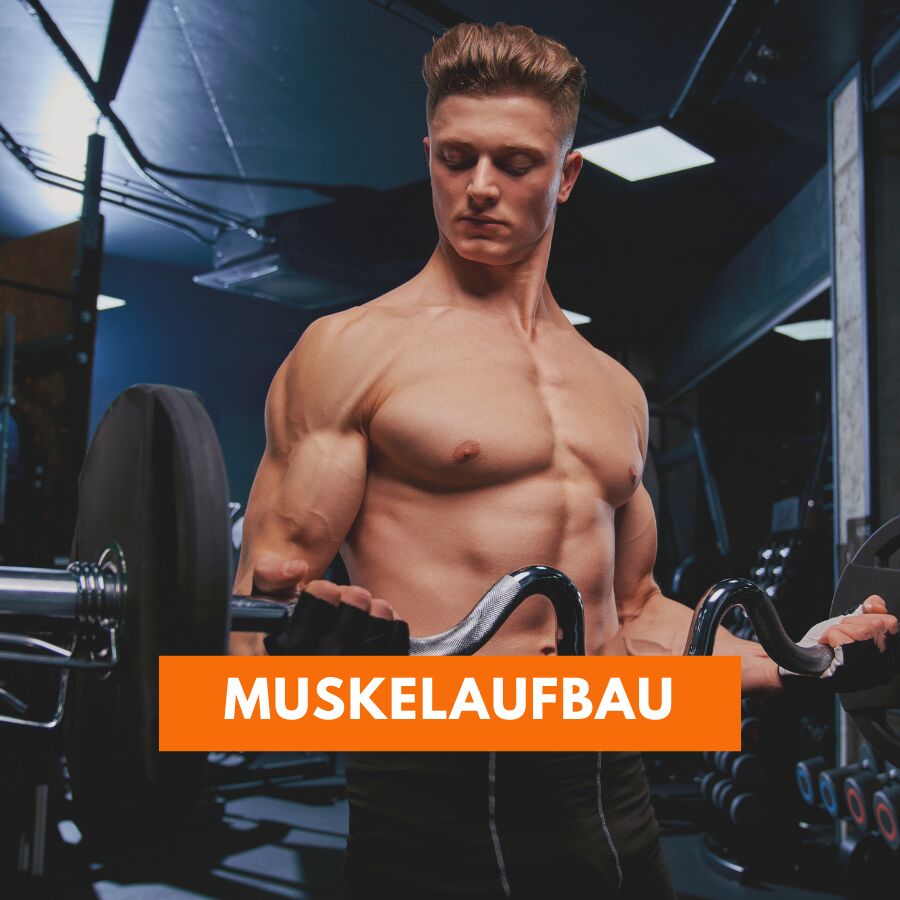 Muskelaufbau