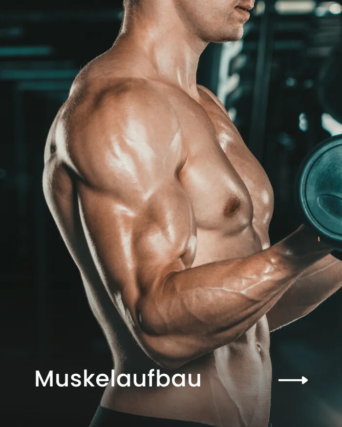 Muskeln aufbauen