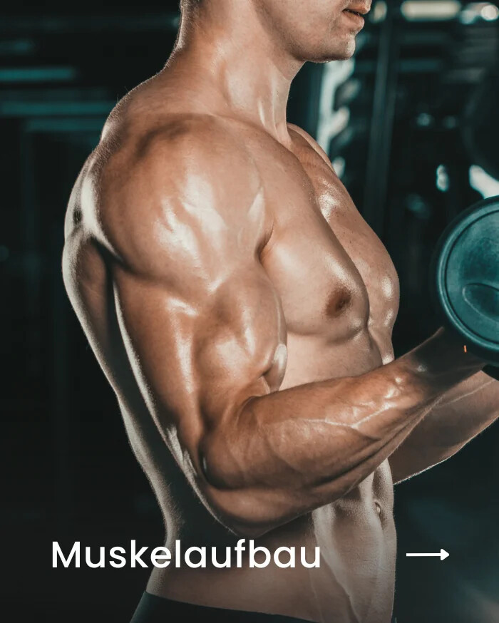 Muskeln aufbauen