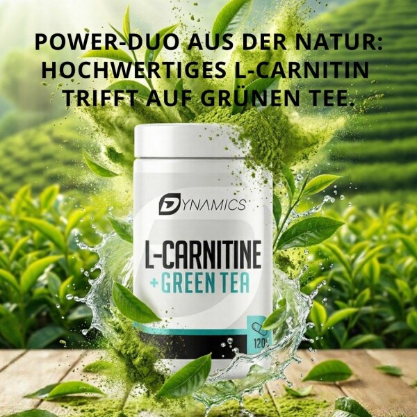 l-carnitin krebserregend Liquid L-Carnitine 3000: Metabolism & Energy Support