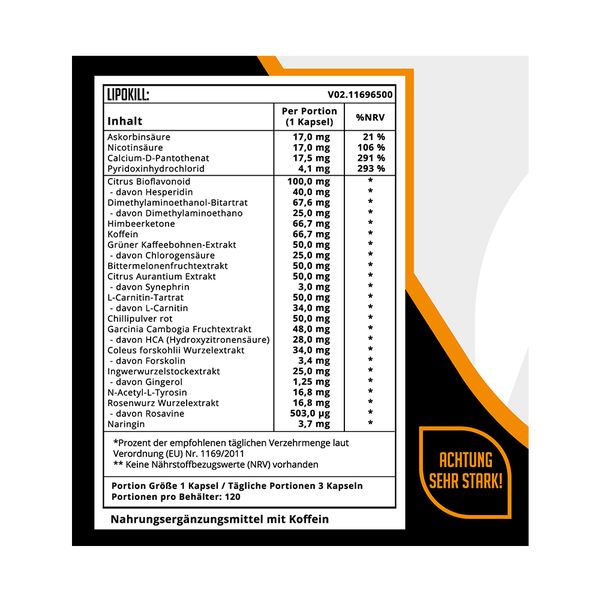 Dynamics - Dit Bundle 1 Starter