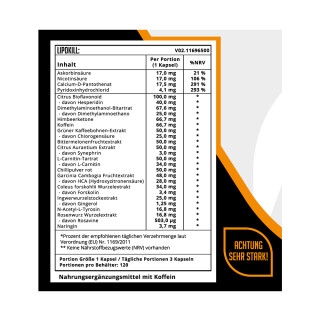 Dynamics - Fat-Kill Duo 🔥