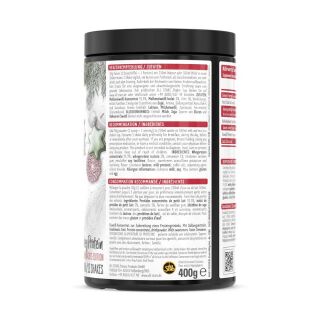 ALL STARS - 100% WHEY - X-MAS EDITION - ZIMTSTERN - 400g