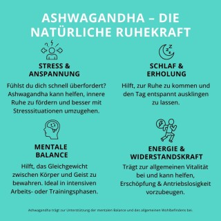 Dynamics - Ashwaganda - 120 Kapseln