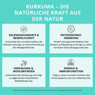 Dynamics Nutrition - Kurkuma - 60 Kapseln