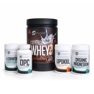 Dynamics - The Complete Sixpack System 🏆