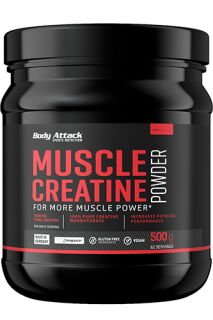 Body Attack - Muscle Creatin